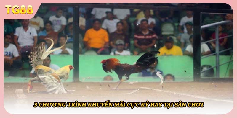 3 chương trình khuyến mãi cực kỳ hay tại sân chơi