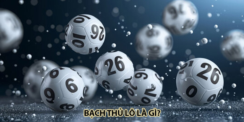 Bạch thủ lô là gì?