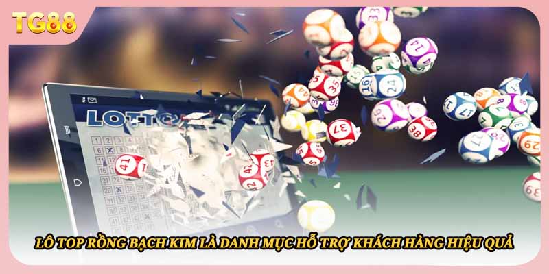 Lô top rồng bạch kim là danh mục hỗ trợ khách hàng hiệu quả 