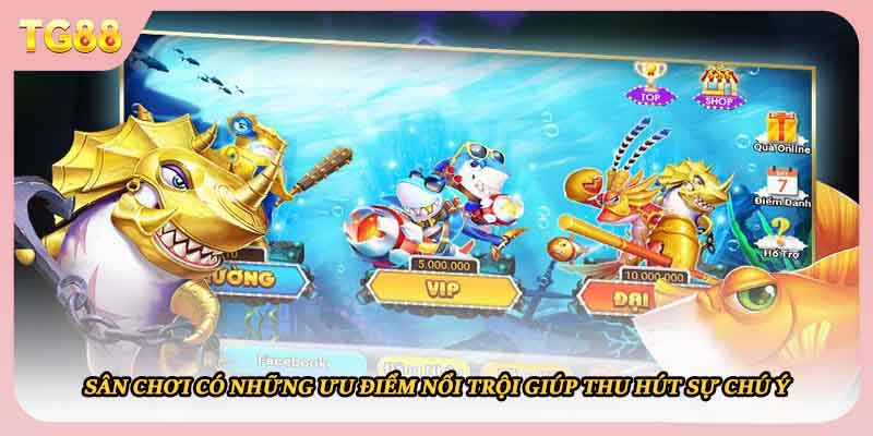 Sân chơi có những ưu điểm nổi trội giúp thu hút sự chú ý